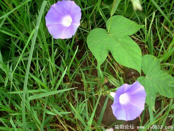 DSCN7714.JPG