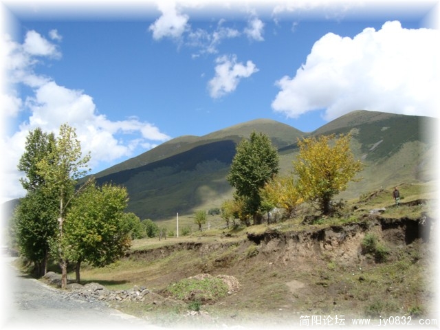 dsc00477.jpg