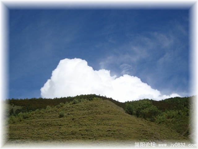 dsc00335.jpg