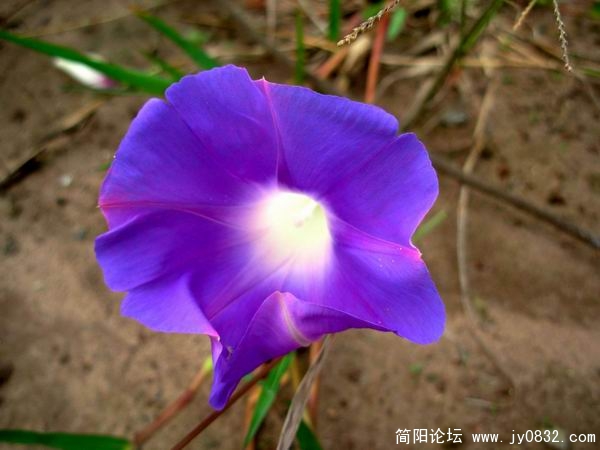 DSCN7713.JPG