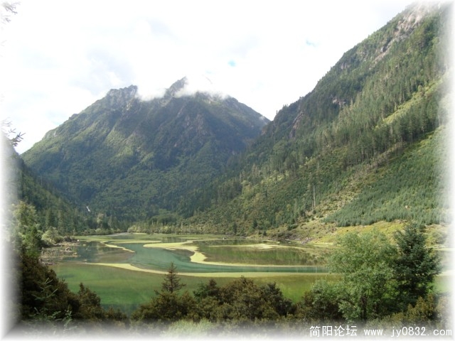 dsc00454.jpg