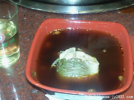 仔鲶的个头大了点.jpg