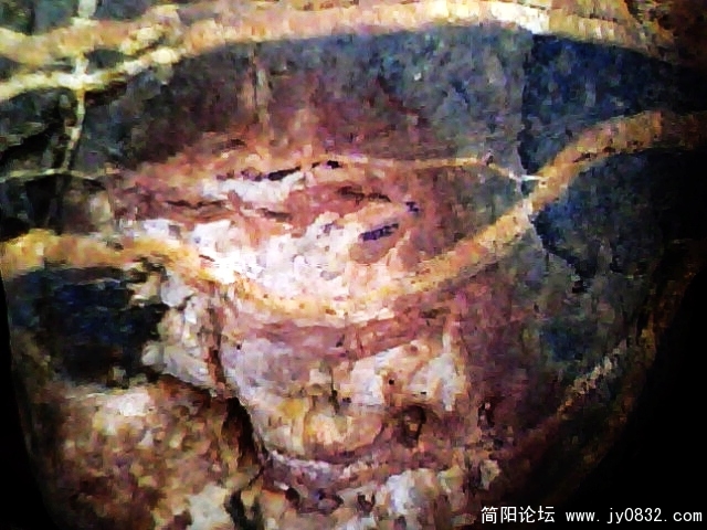 IMG0903A.jpg