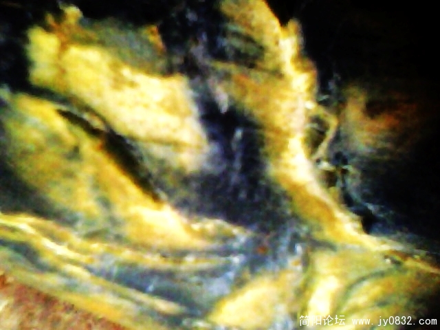 IMG0909A.jpg