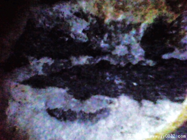 IMG0939A.jpg