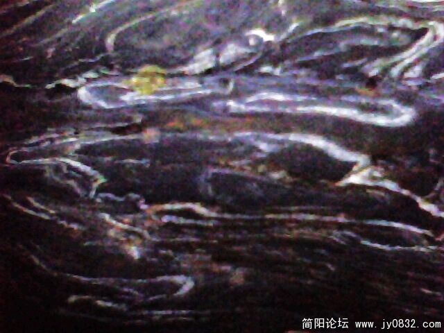 IMG0928A.jpg