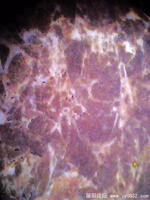IMG0924A.jpg