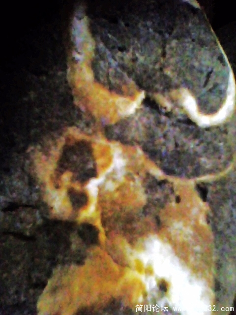 IMG0926A.jpg