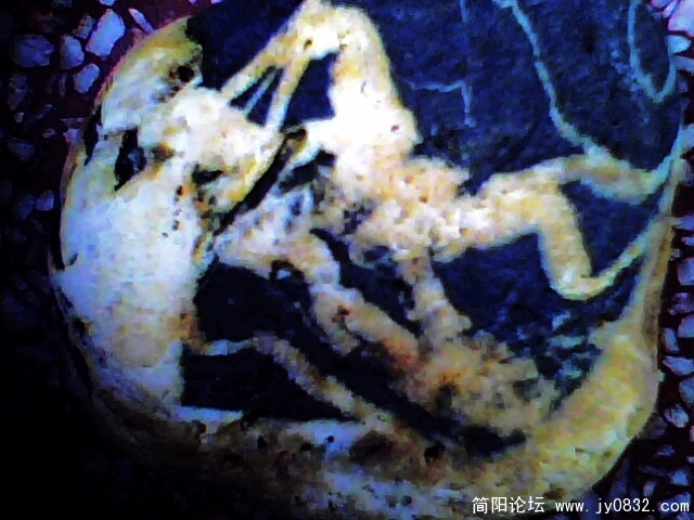 IMG0945A.jpg