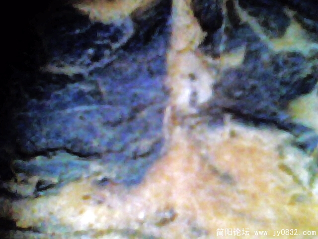 IMG0917A.jpg