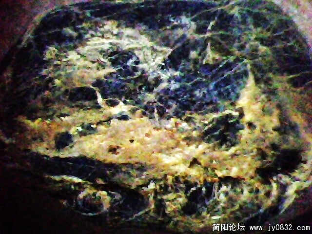 IMG0931A.jpg
