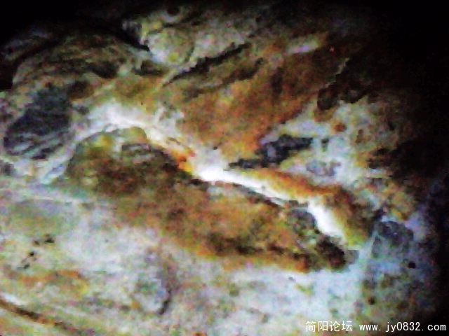 IMG0935A.jpg