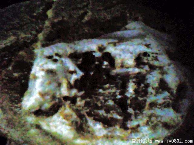 IMG0937A.jpg