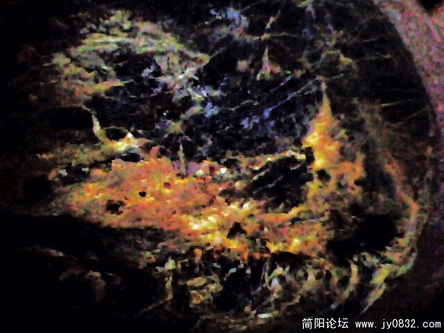 IMG0930A.jpg