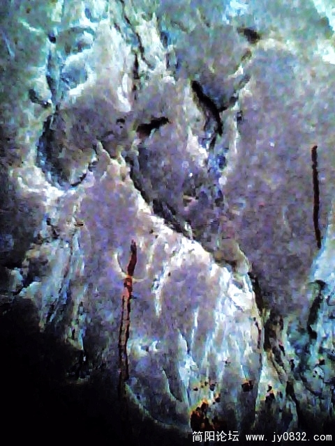 IMG0915A.jpg