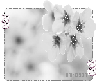 e6e152095c9715dd3ac763f8.gif