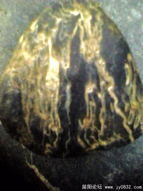 IMG0911A.jpg