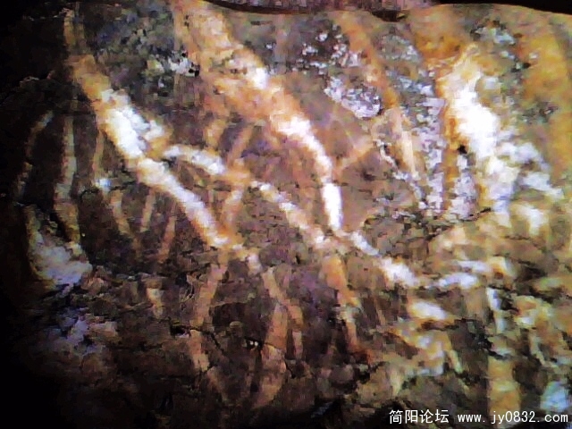 IMG0905A.jpg