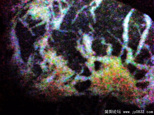 IMG0944A.jpg