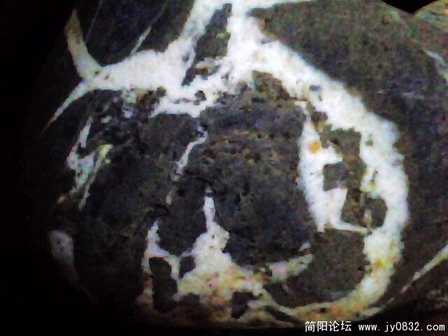IMG0933A.jpg