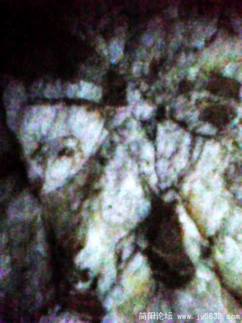 IMG0941A.jpg
