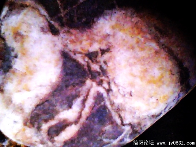 IMG0904A.jpg