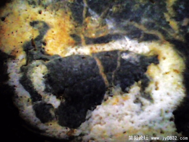 IMG0920A.jpg