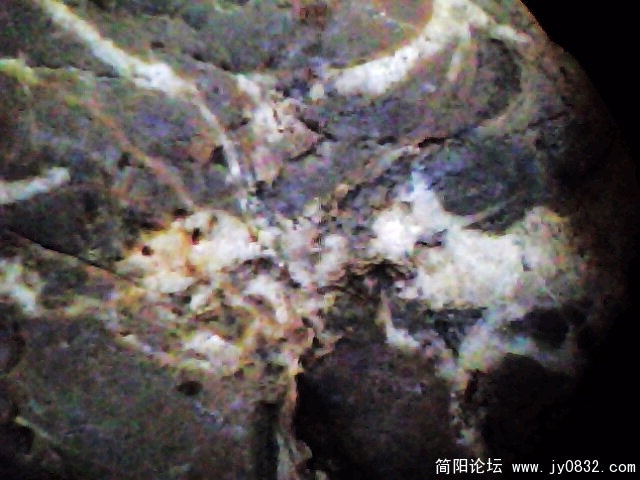 IMG0929A.jpg