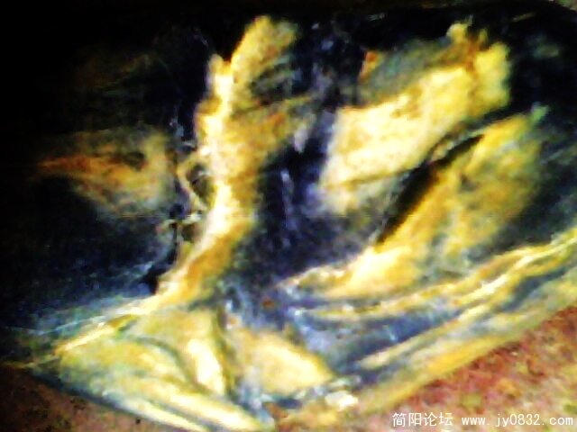 IMG0910A.jpg