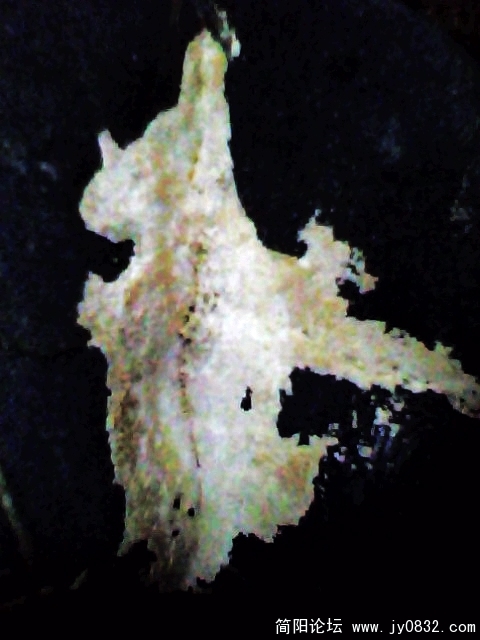 IMG0932A.jpg