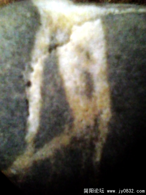 IMG1005A.jpg