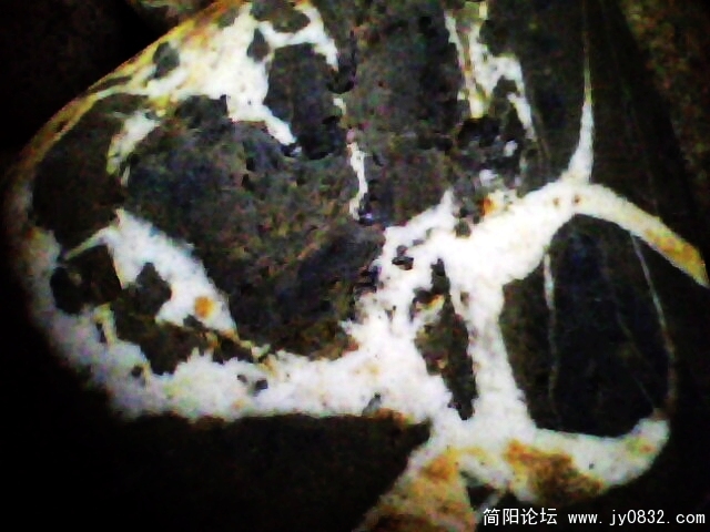 IMG1009A.jpg