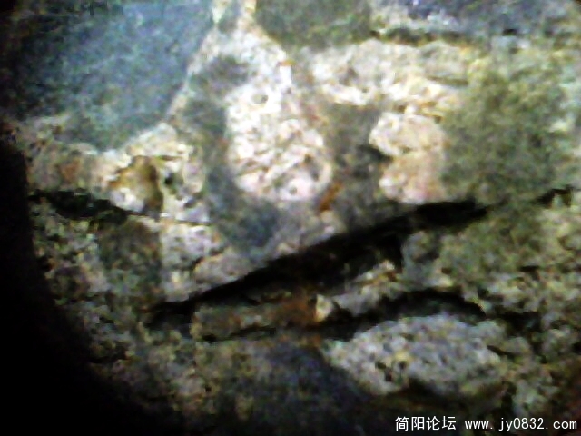 IMG1003A.jpg