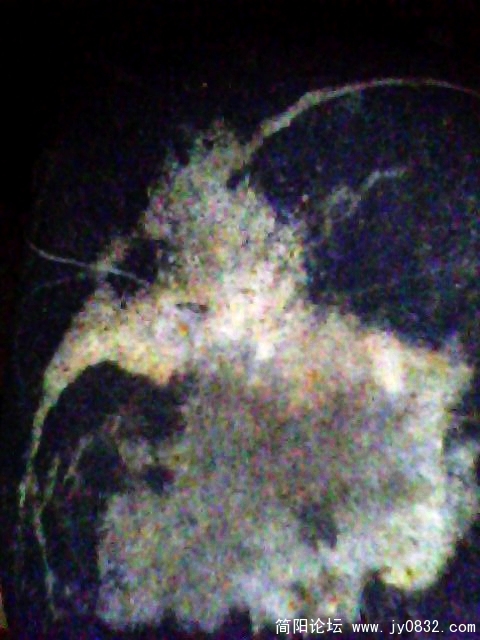 IMG1007A.jpg