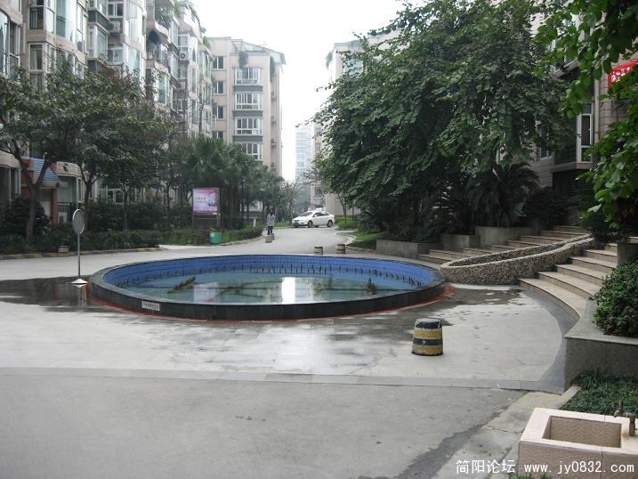 1194074160[1].jpg