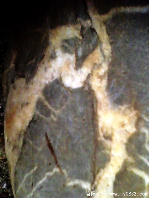 IMG1004A.jpg
