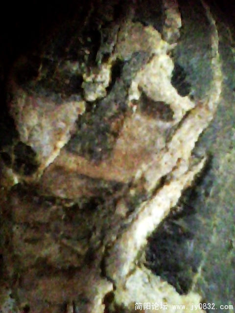 IMG1008A.jpg