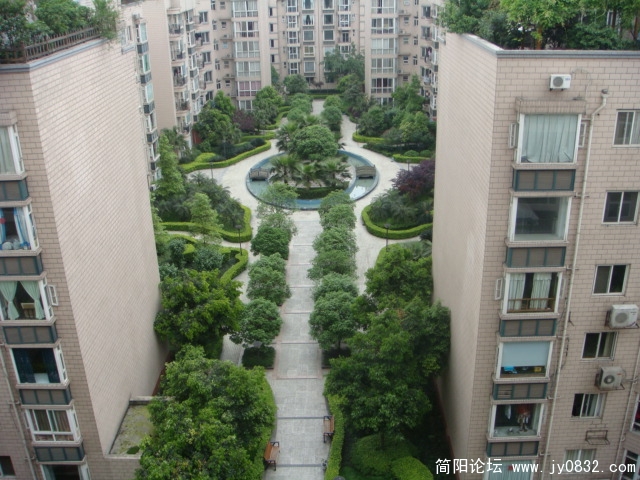590227449[1].jpg