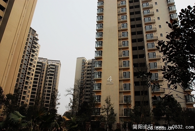 728081291[1].jpg