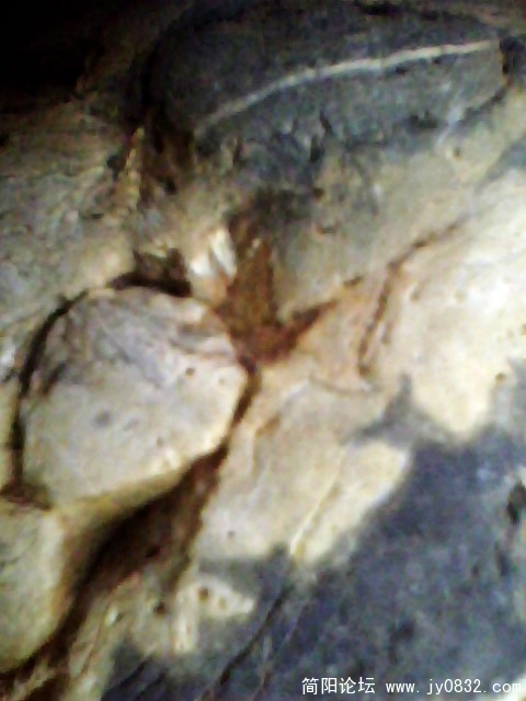 IMG1001A.jpg