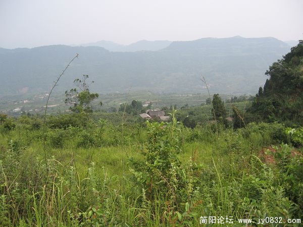 IMG_1816.jpg