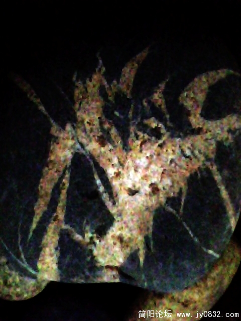 IMG1017A.jpg