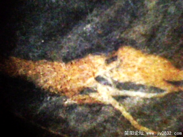 IMG1039A.jpg