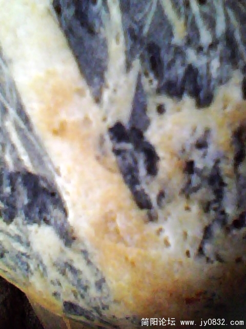IMG1030A.jpg