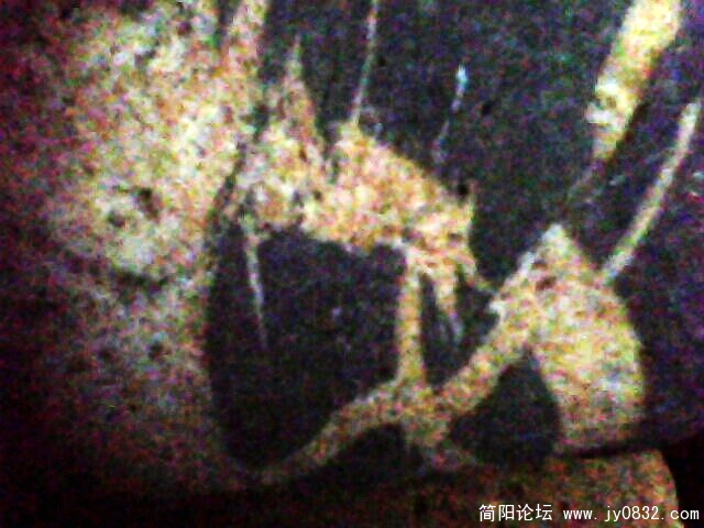 IMG1021A.jpg