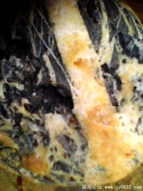 IMG1028A.jpg