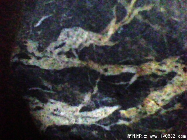 IMG1016A.jpg