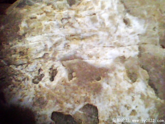IMG1036A.jpg