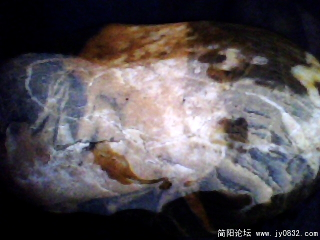 IMG1037A.jpg