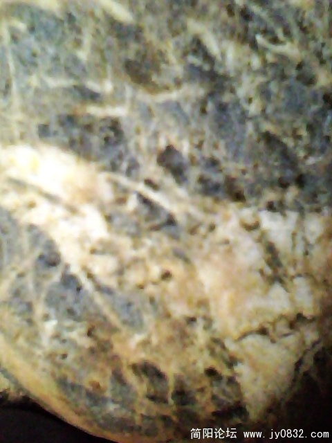 IMG1033A.jpg